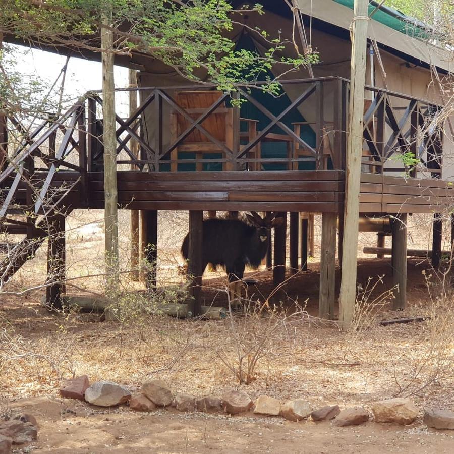 Kelora Bush Camp Hotel Hoedspruit Luaran gambar